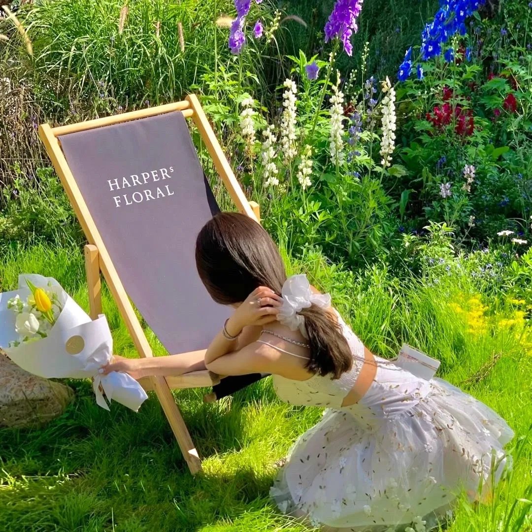 树上有个好地方